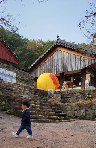 김중언님의 우리동네 · 동네정보 작성글 사진