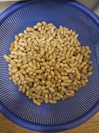 울금박사[빈덕열]님의 최근 산 물건을 알려주세요! · 참여글 작성글 사진