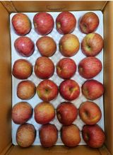 팜모닝 최근 산 물건을 알려주세요!·참여글 게시글 이미지