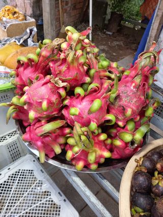 땅땅님의 자유주제 · 사진전 작성글 사진