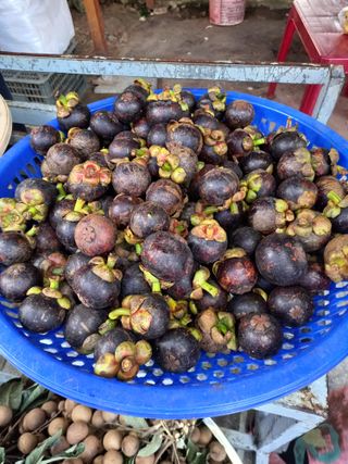 땅땅님의 자유주제 · 사진전 작성글 사진