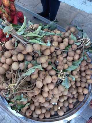 땅땅님의 자유주제 · 사진전 작성글 사진