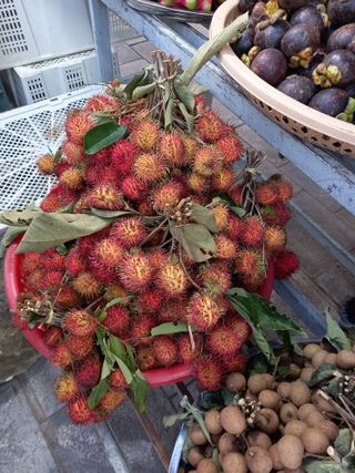 땅땅님의 자유주제 · 사진전 작성글 사진