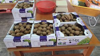 복숭아님의 기타작물 · 자유게시판 작성글 사진