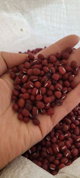 팜모닝 · 게시글 이미지