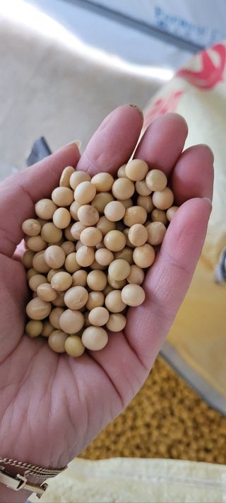 이은호님의 작성글 사진