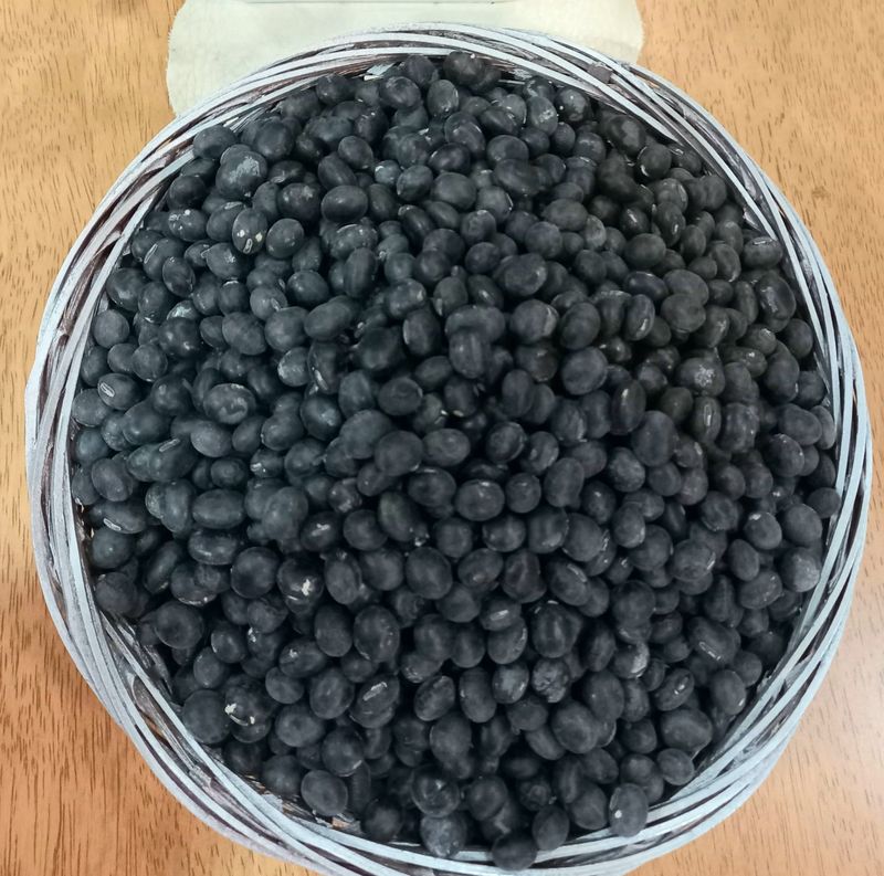 장터 상품 [ 햇서리태 청자5호 1kg 판매완료] 썸네일