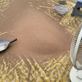 팜모닝 · 게시글 이미지