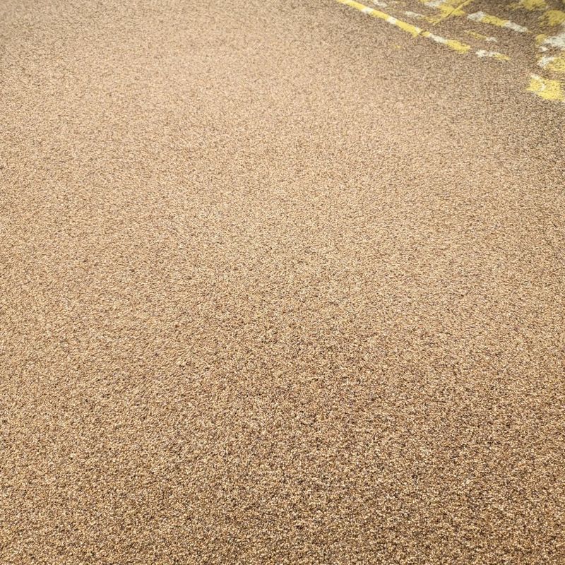 노지잔대재배7년차님의 장터 판매 상품 [2023년 햇 잔대씨앗  판매합니다.•••1kg•••] 첨부 사진