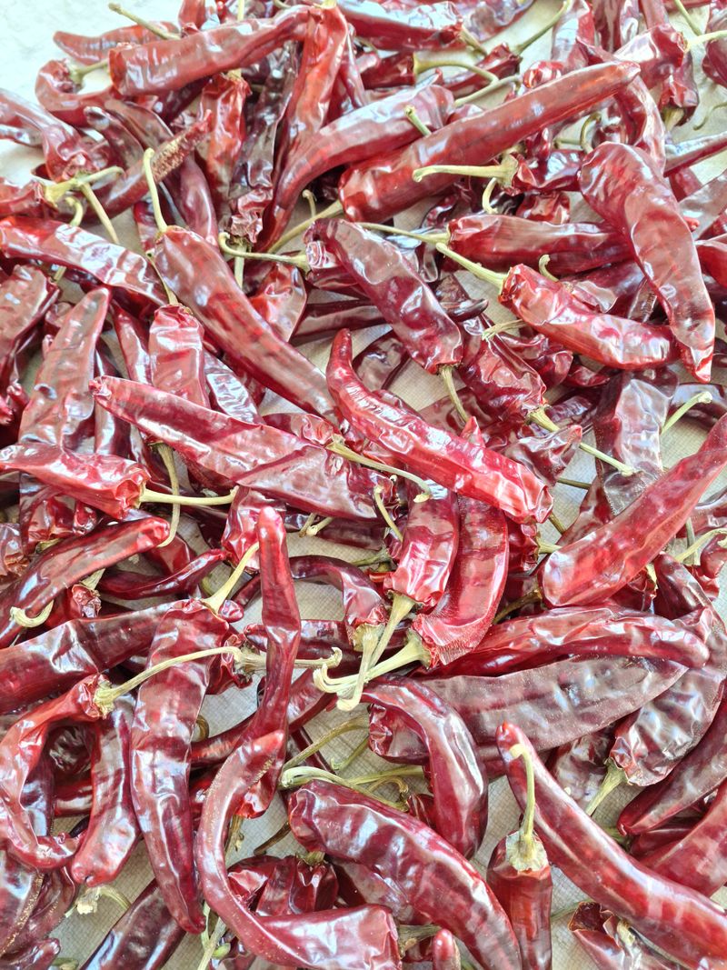 장터 상품 [건고추 (순한맛)] 썸네일