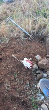 팜모닝 기타작물·영농일지 게시글 이미지