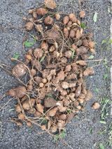 팜모닝 자유주제·자유게시판 게시글 이미지