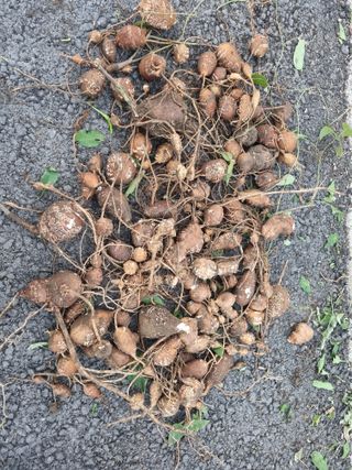 영애님의 자유주제 · 자유게시판 작성글 사진