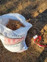 팜모닝 블루베리·영농일지 게시글 이미지