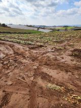 팜모닝 기타작물·영농일지 게시글 이미지