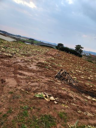 김저팔계님의 기타작물 · 영농일지 작성글 사진