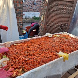 마늘16716님의 마늘 · 영농일지 작성글 사진