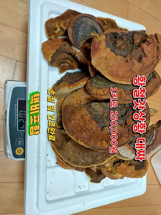 김봉호님의 작성글 사진