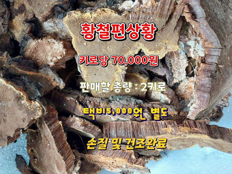 김봉호님의 장터 판매 상품 [황철상황 1키로] 첨부 사진