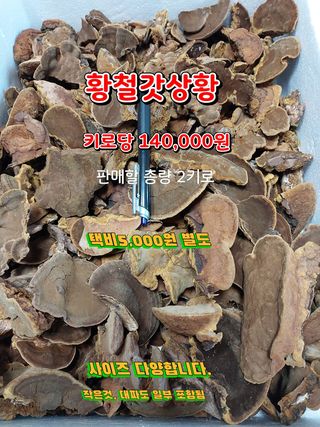 김봉호님의 작성글 사진