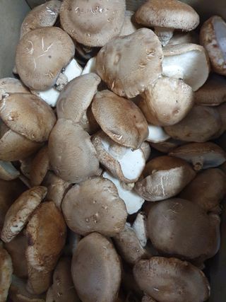 알 수 없음님의 자유주제 · 자유게시판 작성글 사진