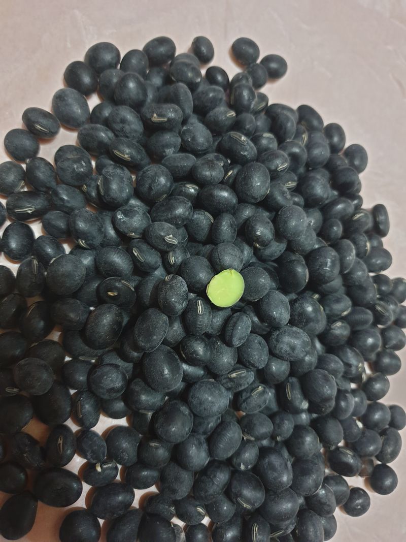 장터 상품 [서리태 새바람 7kg] 썸네일