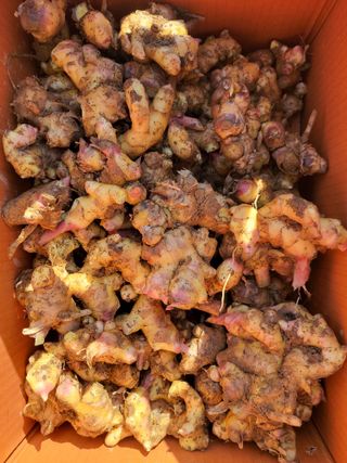 태 야님의 자유주제 · 자유게시판 작성글 사진