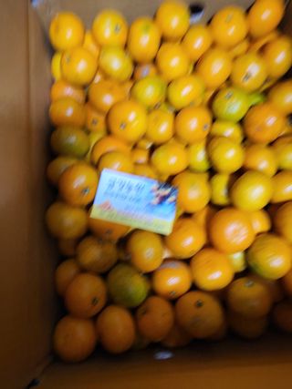 보리맘님의 최근 산 물건을 알려주세요! · 참여글 작성글 사진