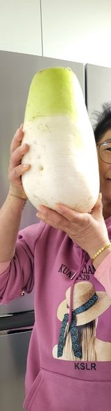 팜모닝 자유주제·칭찬해요 게시글 이미지