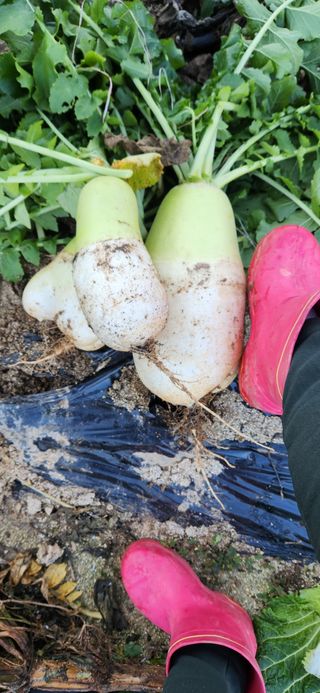 박희영님의 자유주제 · 칭찬해요 작성글 사진