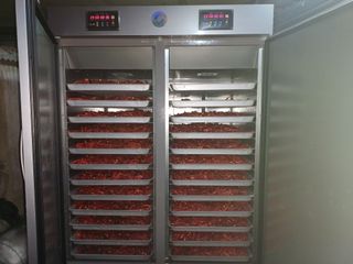 오영도님의 고추 · 일상 작성글 사진