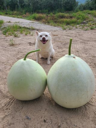 김현주님의 자유주제 · 사진전 작성글 사진