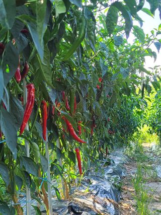 김현주님의 자유주제 · 사진전 작성글 사진