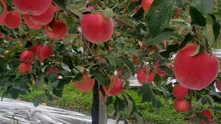 김현주님의 자유주제 · 사진전 작성글 사진