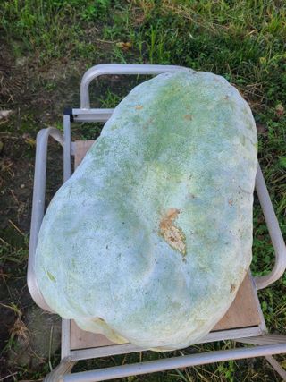 김현주님의 자유주제 · 사진전 작성글 사진