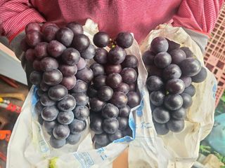 김현주님의 자유주제 · 사진전 작성글 사진