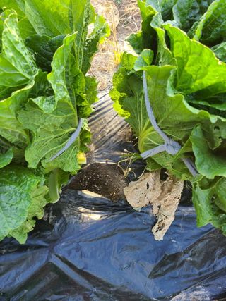 김현주님의 자유주제 · 사진전 작성글 사진