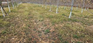 염인수님의 최근 산 물건을 알려주세요! · 참여글 작성글 사진