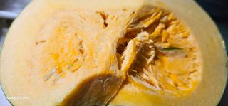 헤라네(김정현)님의 자유주제 · 자유게시판 작성글 사진