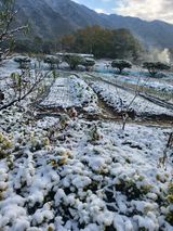 팜모닝 자유주제·자유게시판 게시글 이미지