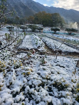 논산상월안정환님의 자유주제 · 자유게시판 작성글 사진