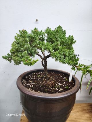 약초원 김종군님의 자유주제 · 자유게시판 작성글 사진