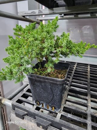 약초원 김종군님의 자유주제 · 자유게시판 작성글 사진