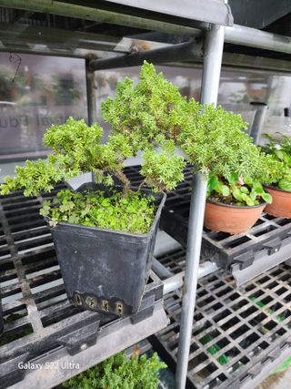 약초원 김종군님의 자유주제 · 자유게시판 작성글 사진