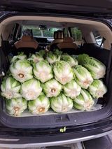 팜모닝 최근 산 물건을 알려주세요!·참여글 게시글 이미지