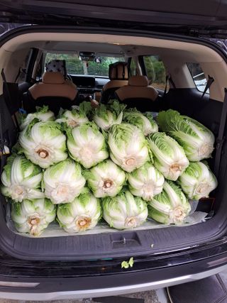 정자형님의 최근 산 물건을 알려주세요! · 참여글 작성글 사진