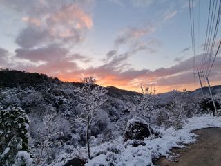 조수현님의 자유주제 · 사진전 작성글 사진