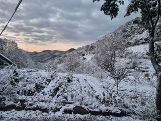 조수현님의 자유주제 · 사진전 작성글 사진