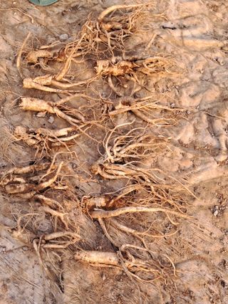 규수김님의 자유주제 · 사진전 작성글 사진