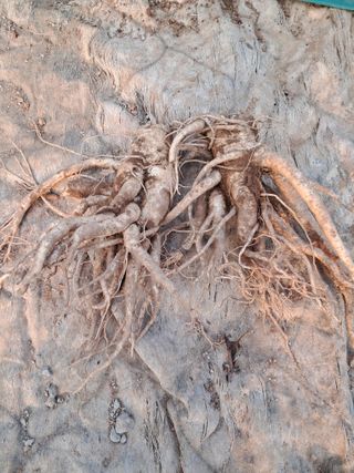 규수김님의 자유주제 · 사진전 작성글 사진